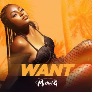Cover of Want by mishel g