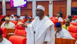 Ndume: 2027 Presidential Race Will Be Tough Like WWE