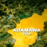 2027: Tinubu Support Group Urges APC to Revisit Adamawa Senotorial Crisis