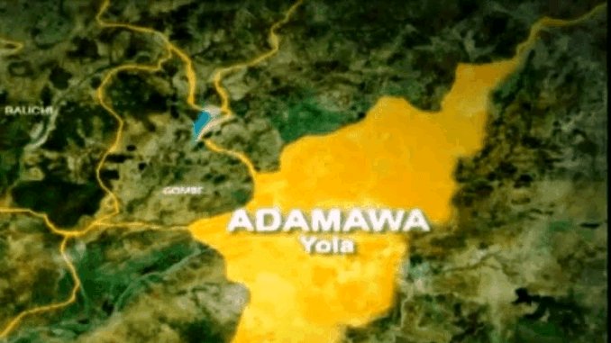 2027: Tinubu Support Group Urges APC to Revisit Adamawa Senotorial Crisis
