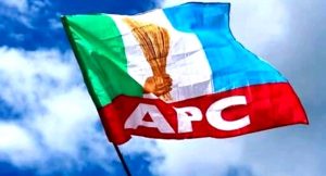 “We Are Not Reviewing the Results” – APC Breaks Silence on 2027 Primaries