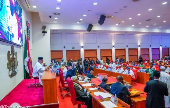 Senate Proposes Single Six-Year Tenure for Presidents, Governors After 2027