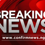 PDP Sweeps Adamawa LG Polls, Wins 20 Councils as Numan Election Awaits Conclusion