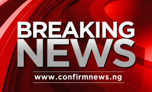 PDP Sweeps Adamawa LG Polls, Wins 20 Councils as Numan Election Awaits Conclusion